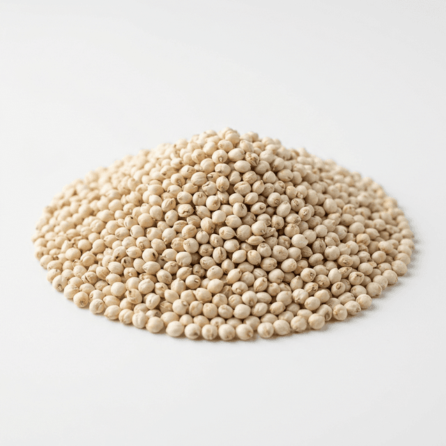 White Sorghum
