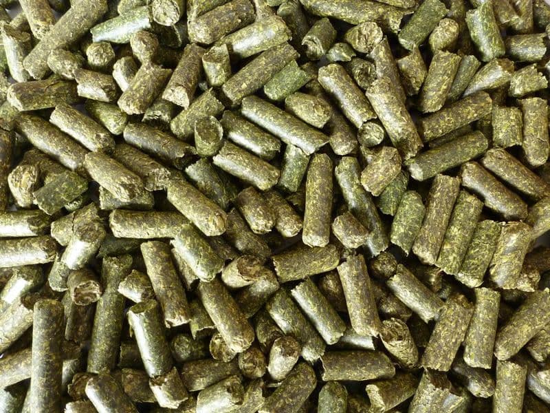 Alfalfa Pellets