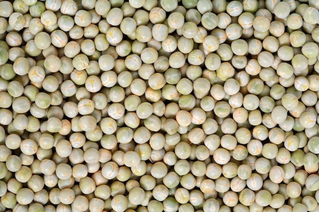 Dry Peas